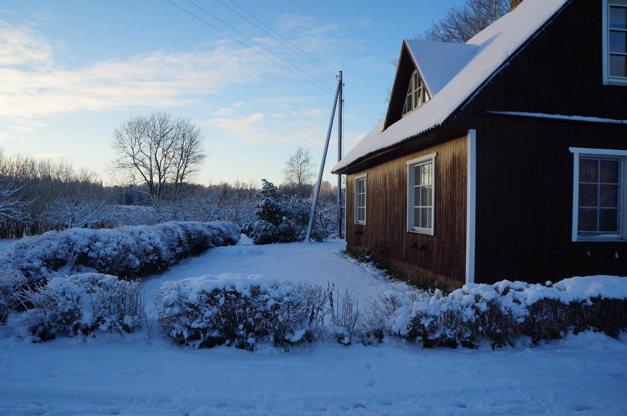 Vila Jaerve Talu Puhkemaja Otepää Exteriér fotografie